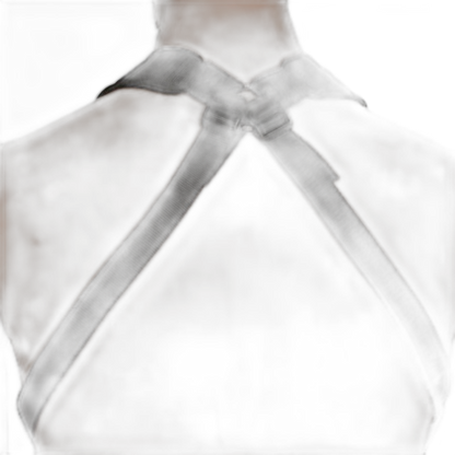 Dual Delight Erotic Sex Sling Harness