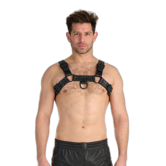 Prowler RED Leather Premium Noir Harness Black