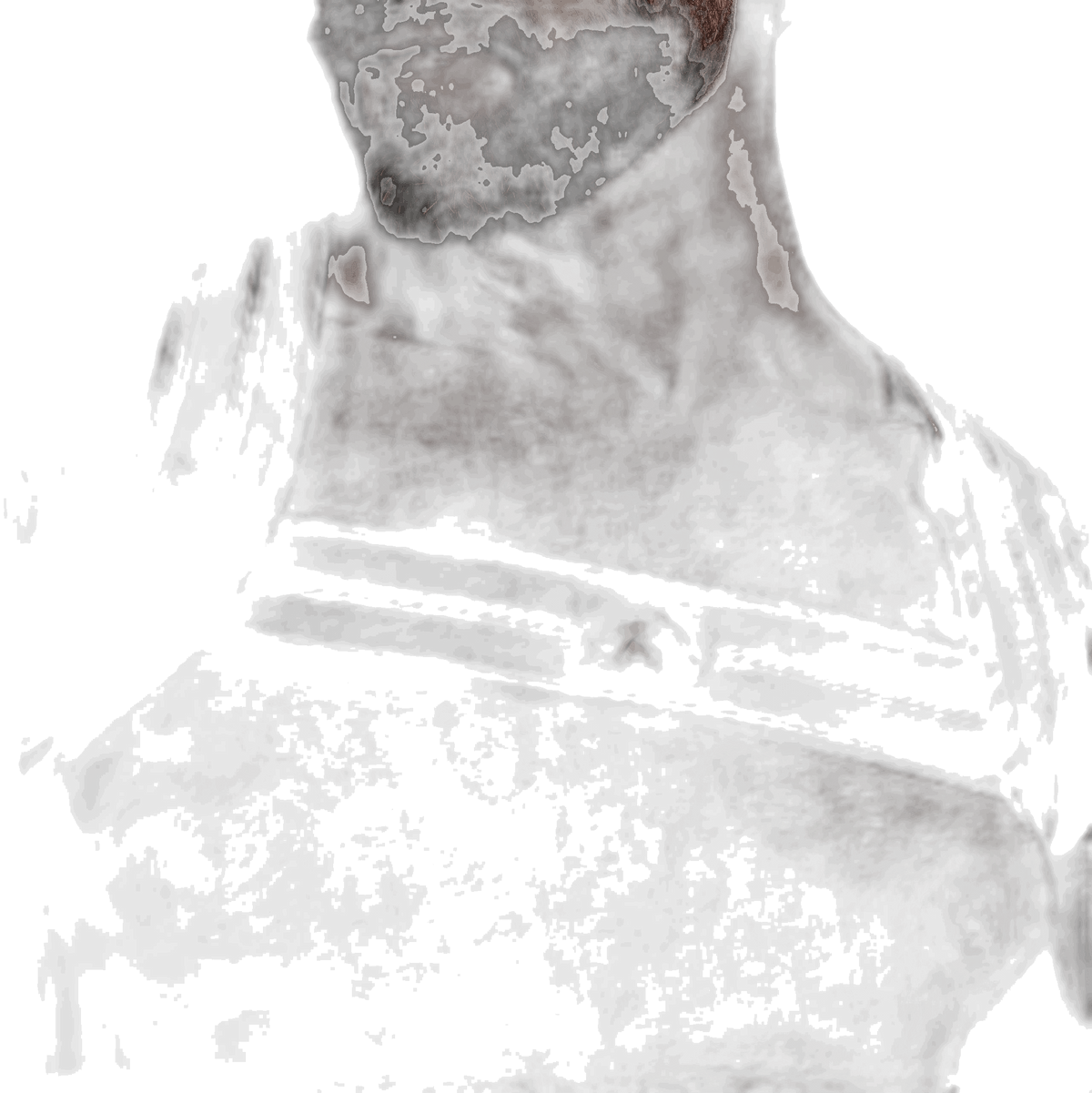 DEN CORE Chest Harness - Black