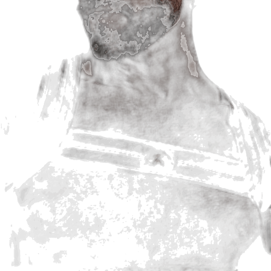 DEN CORE Chest Harness - Black