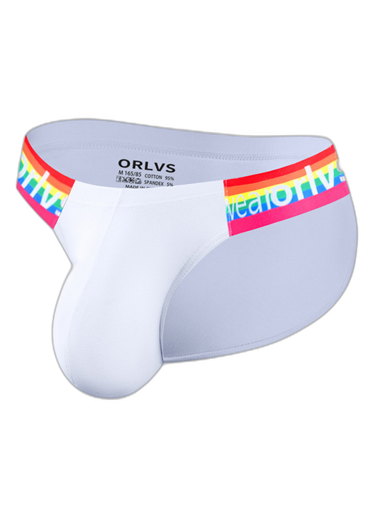 2 Pack Men’s Sexy Rainbow Bikinis