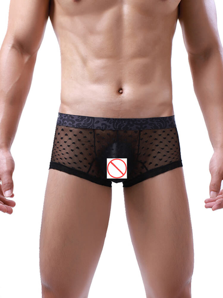 Men's Translucent Mesh Spotted Trunks