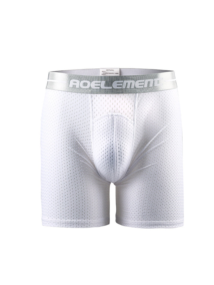 2 Pack Mesh Ice Silk Moisture Wicking Sport Boxer Underwear