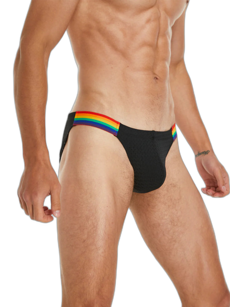 Men's Sexy Rainbow Pride Mesh Bikini