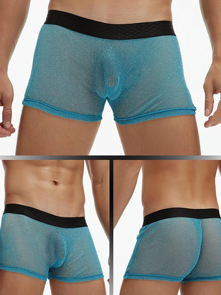 Men's Sheer Mesh Pouch Boxer