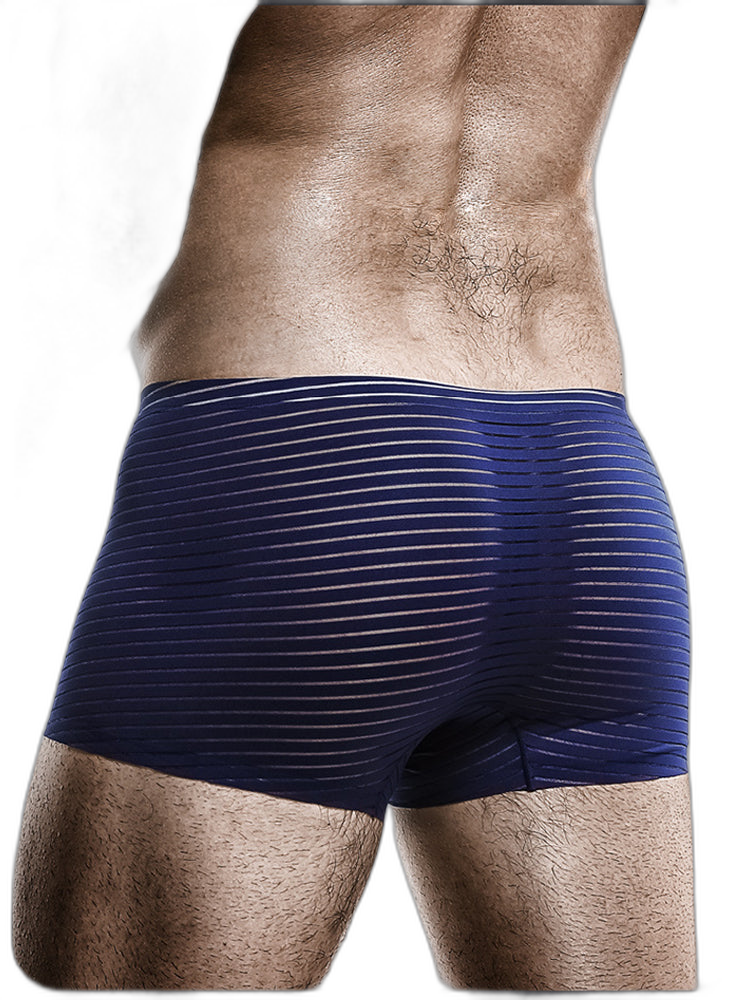 2 Pack Silk Striped Men's Super Thin Underwear