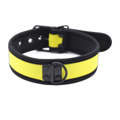 Coloured Adjustable Neck Collar