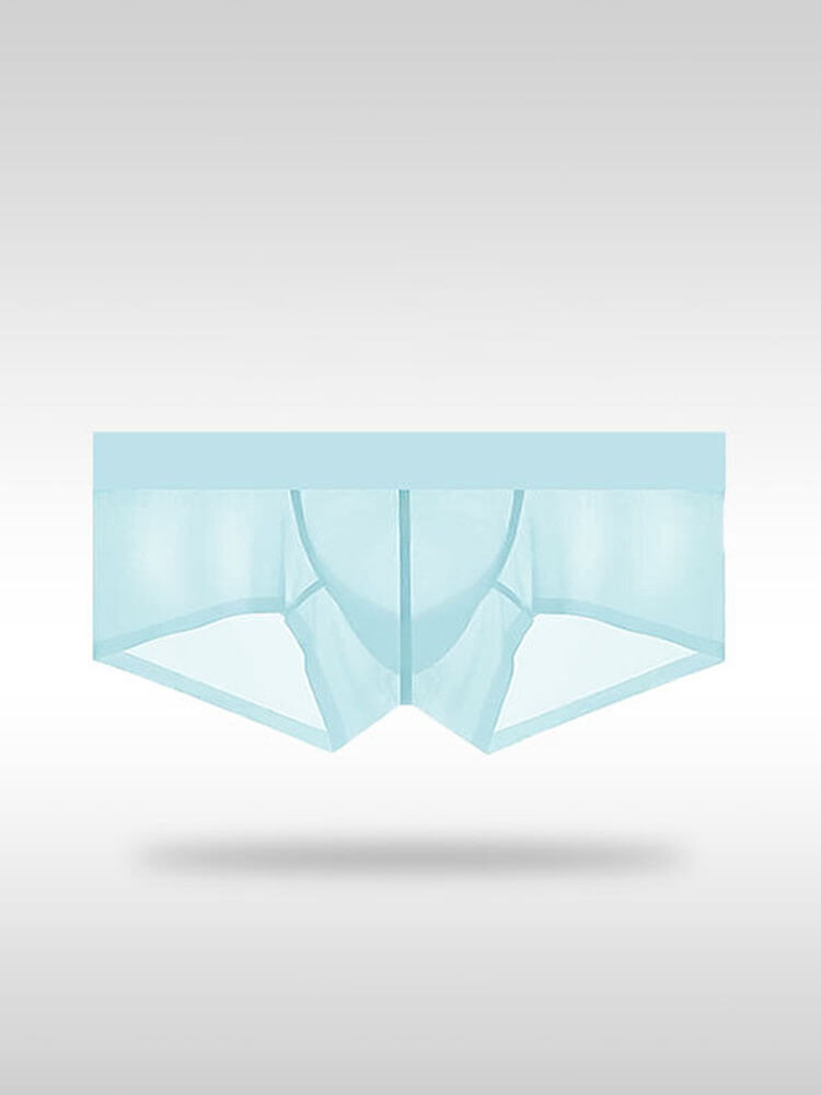 Men's Sexy Tight Transparent Low Rise Trunks