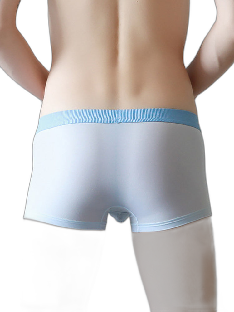 3 Pack Separate Pouch Trunks With Fly Front