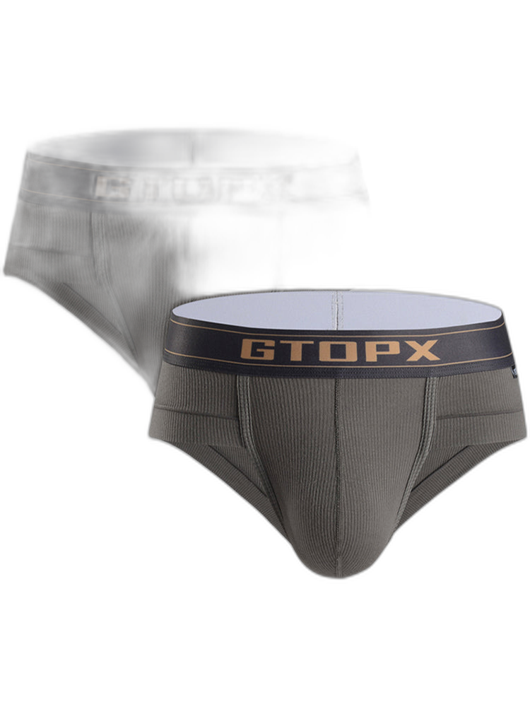 2 Pack Men's Big Support Pouch Modal Briefs