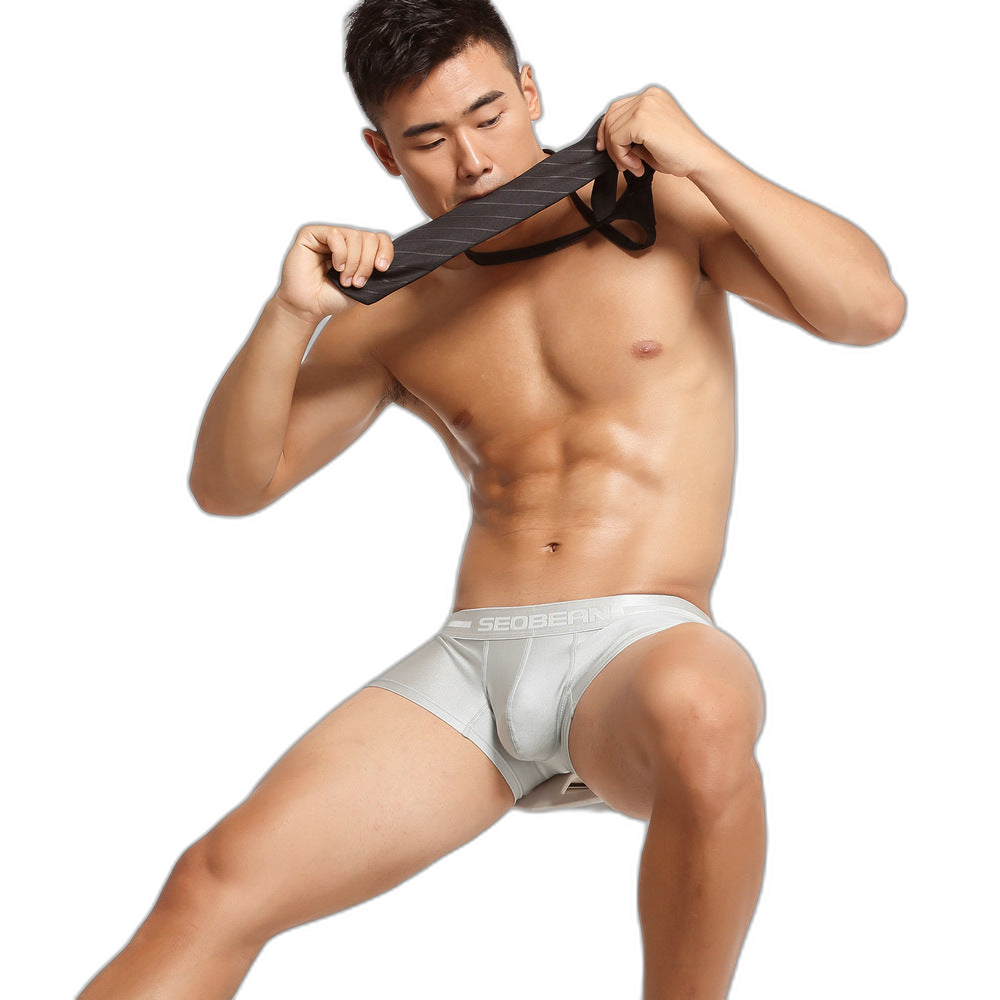 2 Pack Men’s Lustrous Metallic Trunks