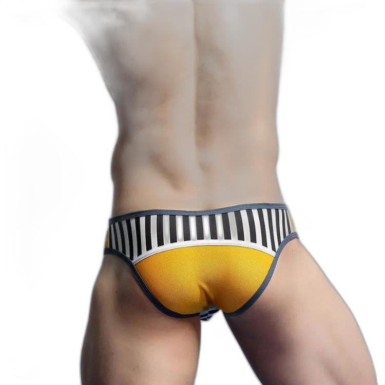 No. 56 Sporty Briefs Success