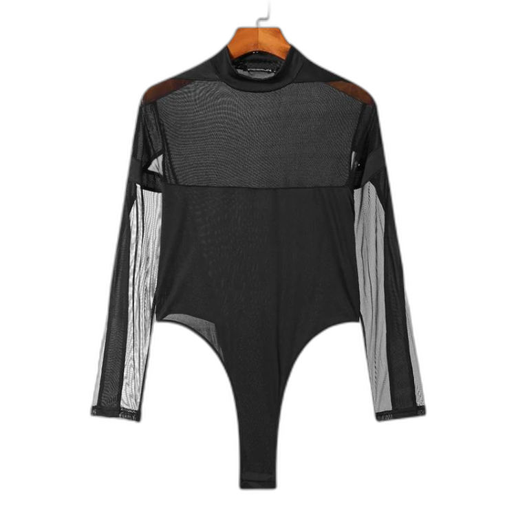 Turtleneck Long Sleeve Mesh Bodysuit