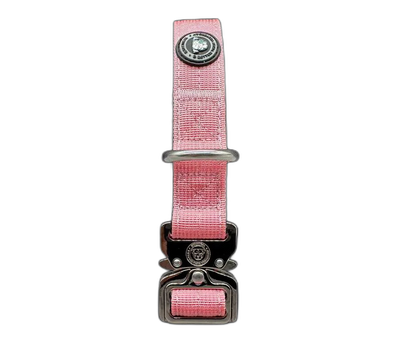 2.5cm Tactical Collar Pink