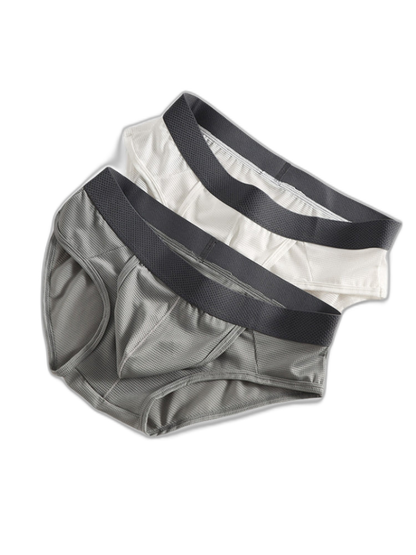3 Pack Men's Low-Rise Mesh Briefs with Breathable Support & Convenience Fly