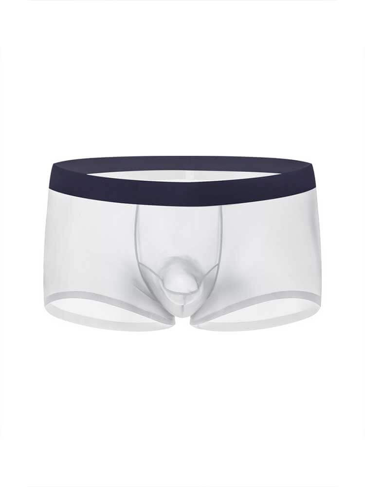 Men's Sexy Seamless Sheer Ice Silk Boxer Briefs