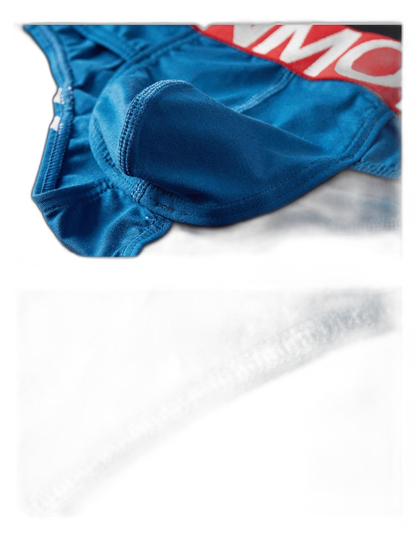 2-pack Men's Sexy Slim Fit Fashion U-convex Bikini