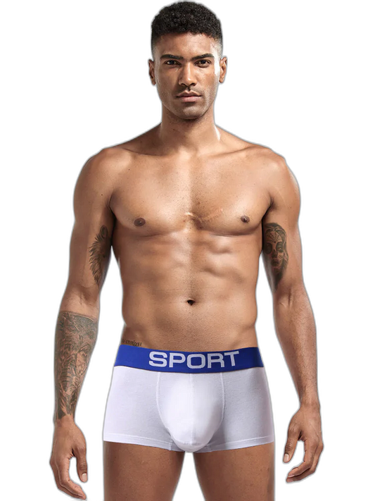 3 Pack Mens Sculpt Bulge Shape Support Pouch Underwear