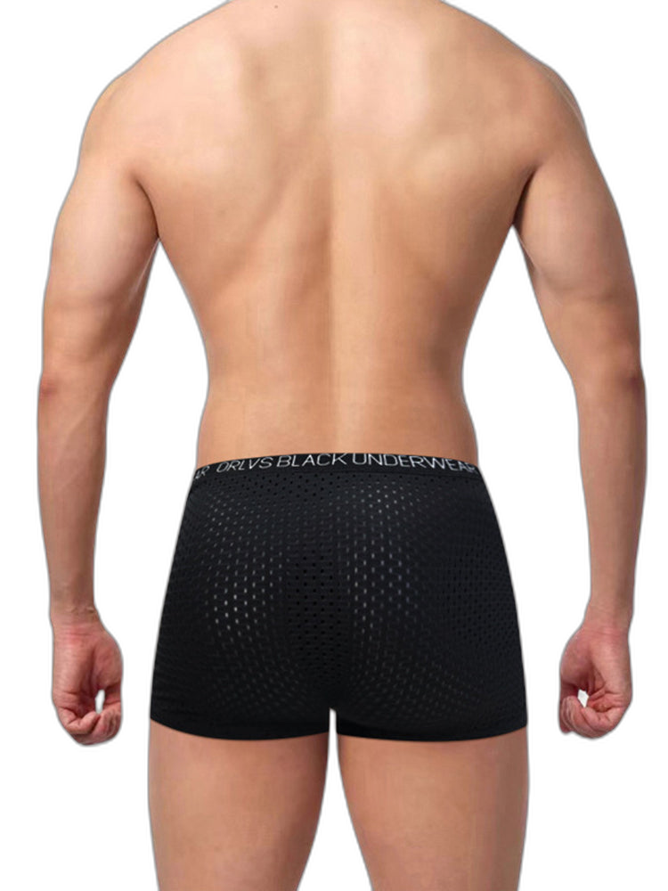 2 Pack Men's Sexy V-shape Waistband Mesh Trunks