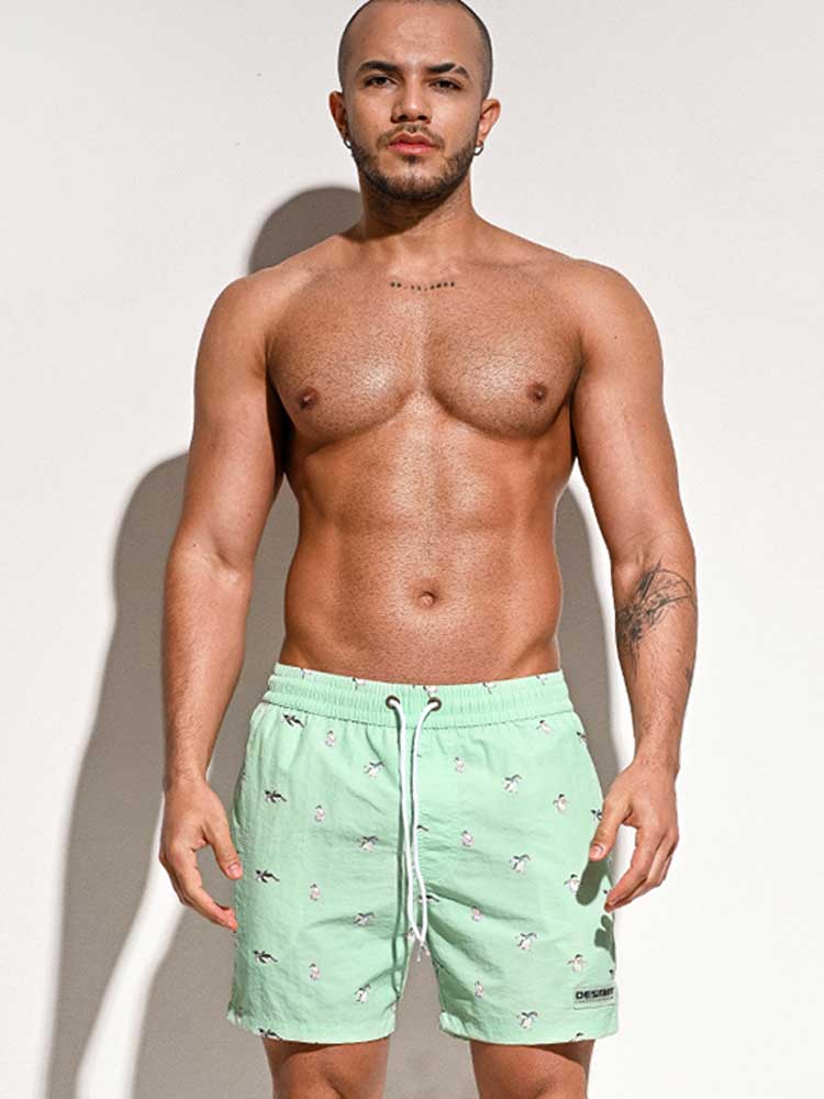 Men's Stylish Casual Quick-Dry Beach Shorts