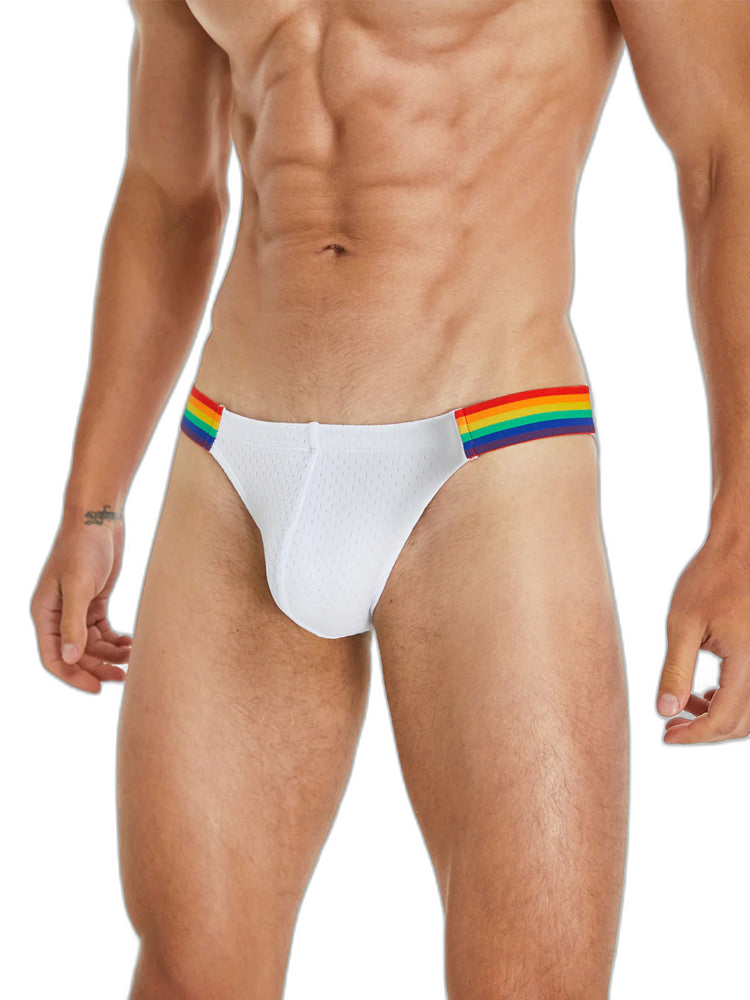 Men's Sexy Rainbow Pride Mesh Bikini