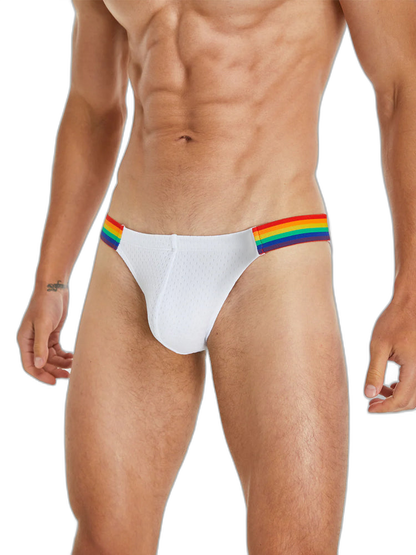 Men's Sexy Rainbow Pride Mesh Bikini