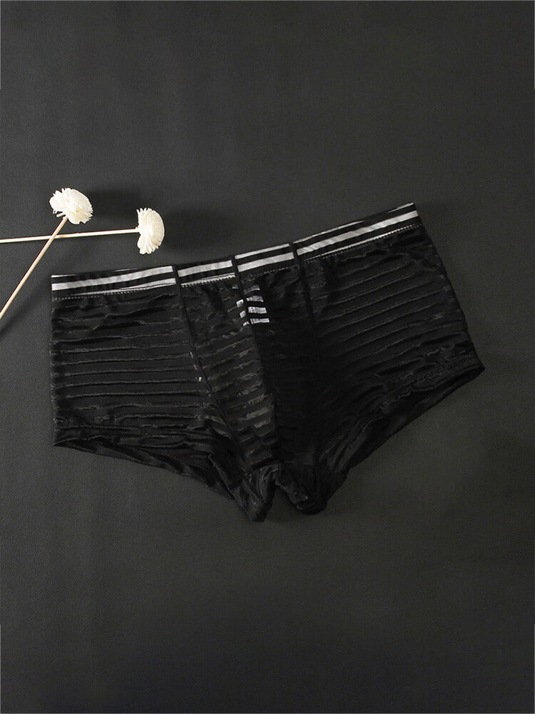 Men's Sexy Mesh Transparent Striped Boxer Briefs