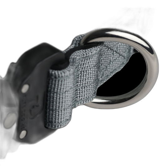 Pure Dog K9 Tactical Collar Grey