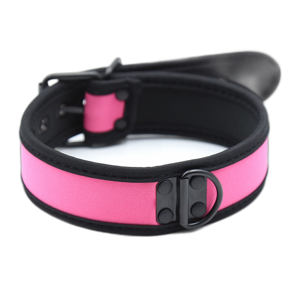 Coloured Adjustable Neck Collar