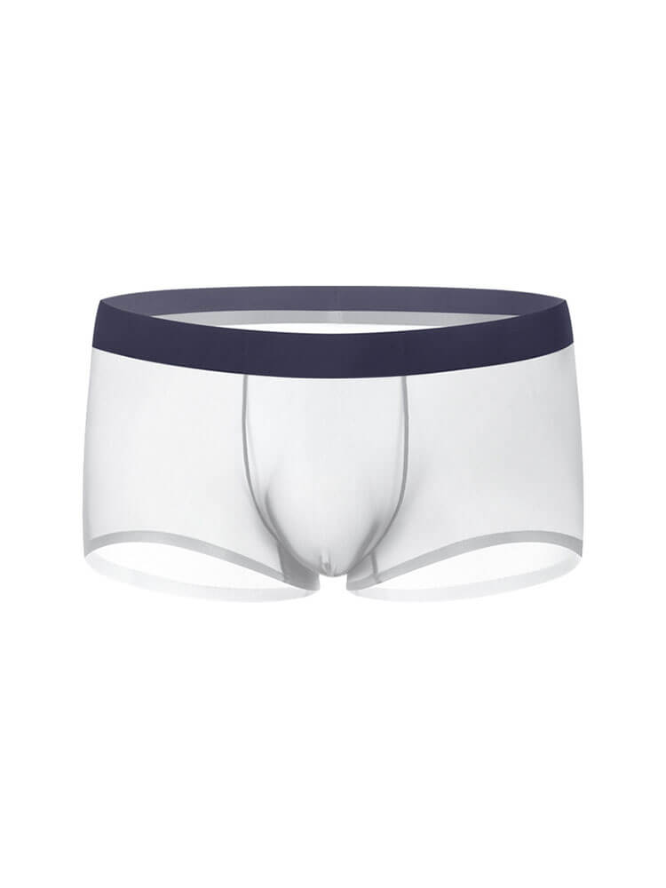 Men's Sheer Ice Silk Thin Pouch Boxer Briefs