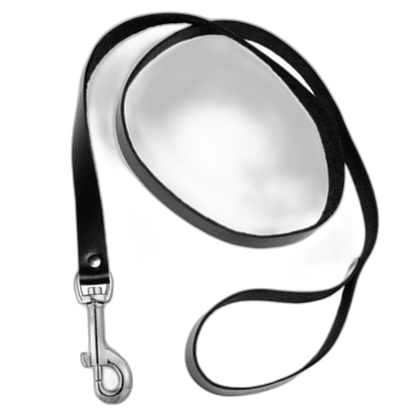 ruff GEAR Leather Leash