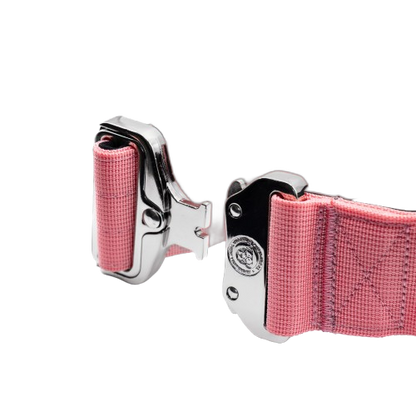 5cm Tactical Collar Pink