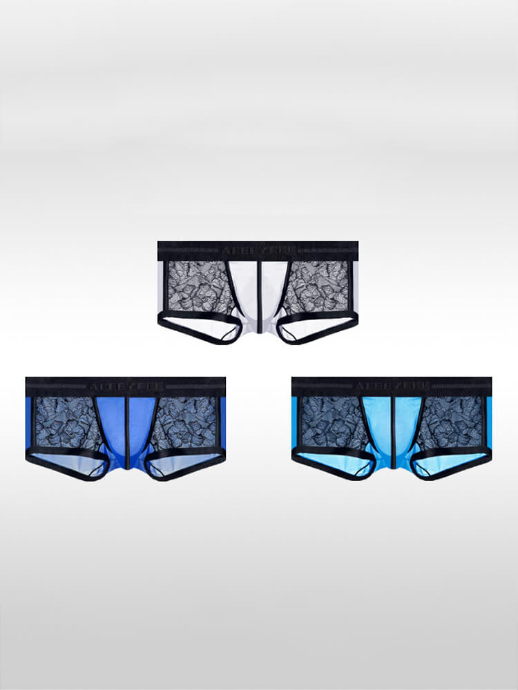 Men's Ice Silk Lace Sexy Sheer Ultra-Thin Trunks