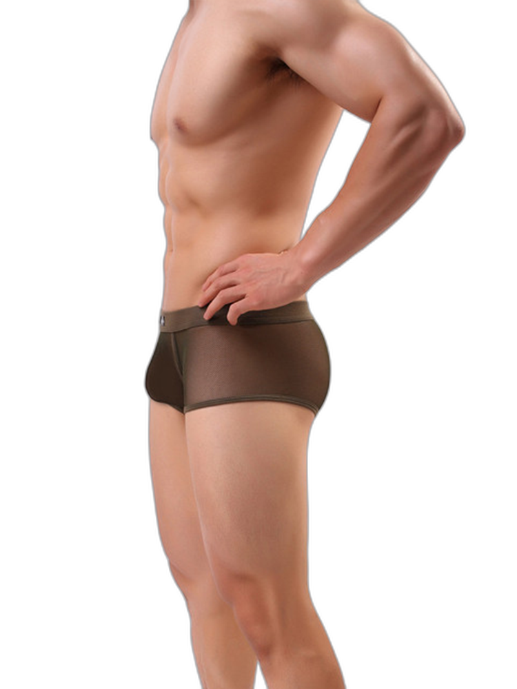 Men's Sexy Transparent Mesh Trunks