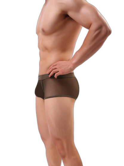 Men's Sexy Transparent Mesh Trunks