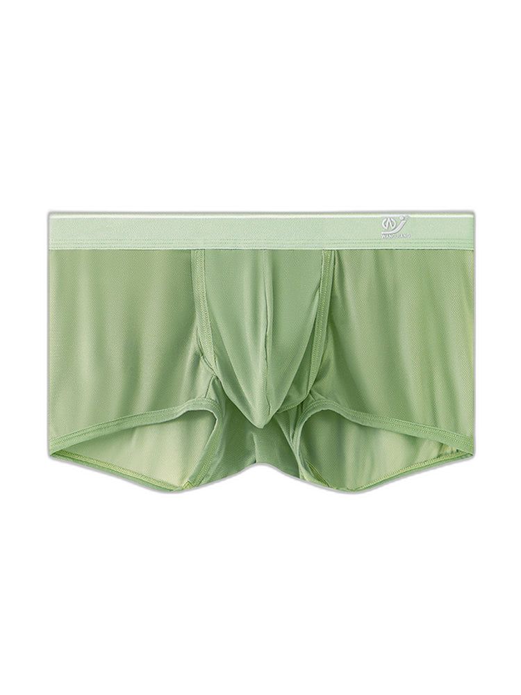 2 Pack Men's Breathable Mesh Trunks with Fly