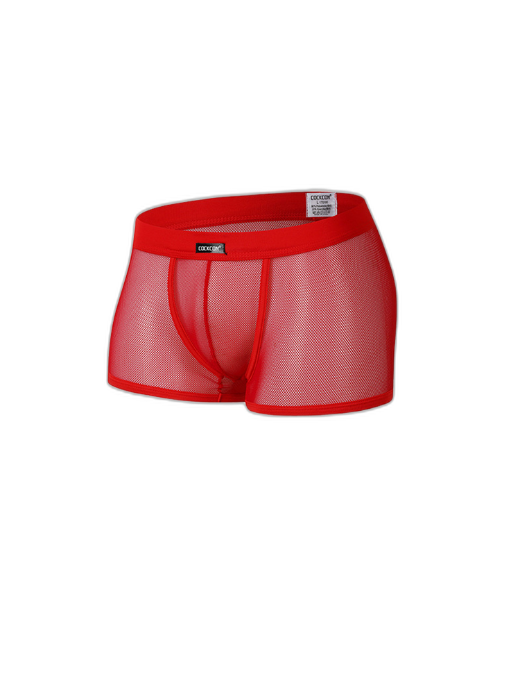 Men's Sexy Transparent Mesh Trunks