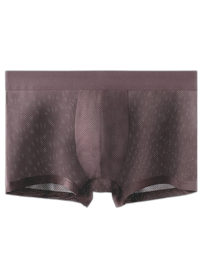 4 Pack Men's Thin Ultra Breathable Mesh Trunks