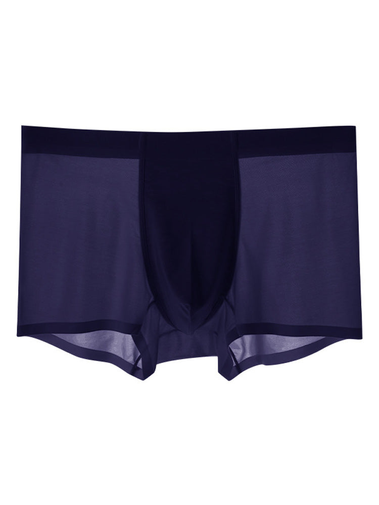 Men's Ice Silk Quick Dry Nylon Trunks