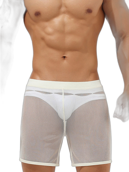 Men’s Sexy See Through Mesh Boxer Shorts