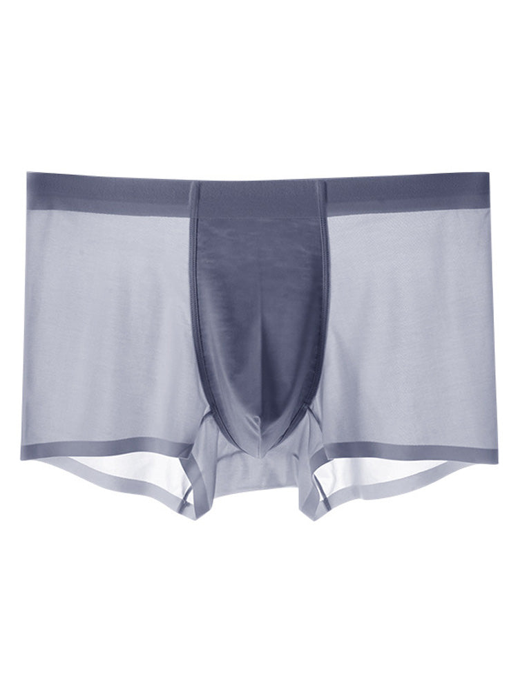 Men's Ice Silk Quick Dry Nylon Trunks