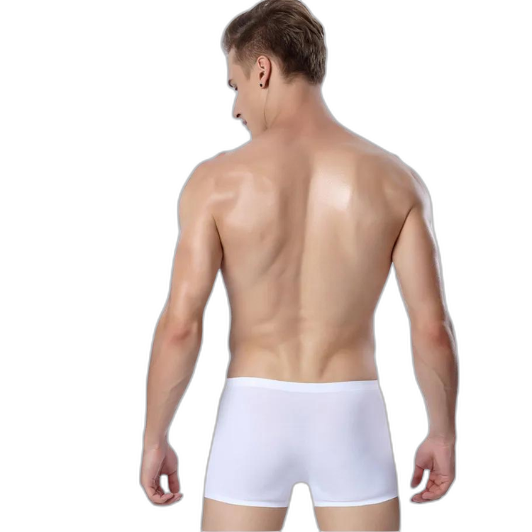 Ice Embrace Transparent Boxer Briefs (4 Pack)