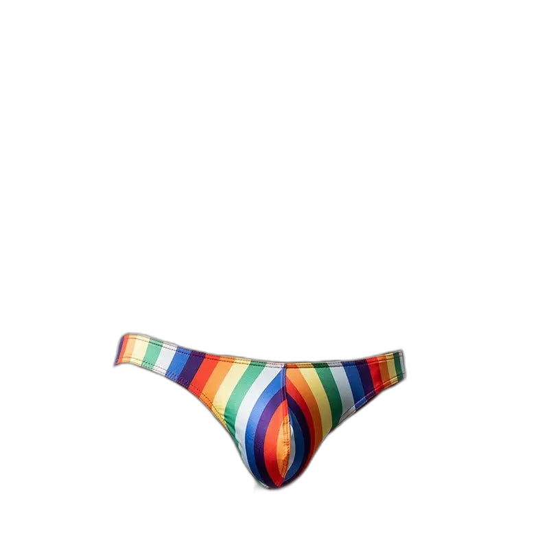 Retro Rainbow Low Rise Briefs