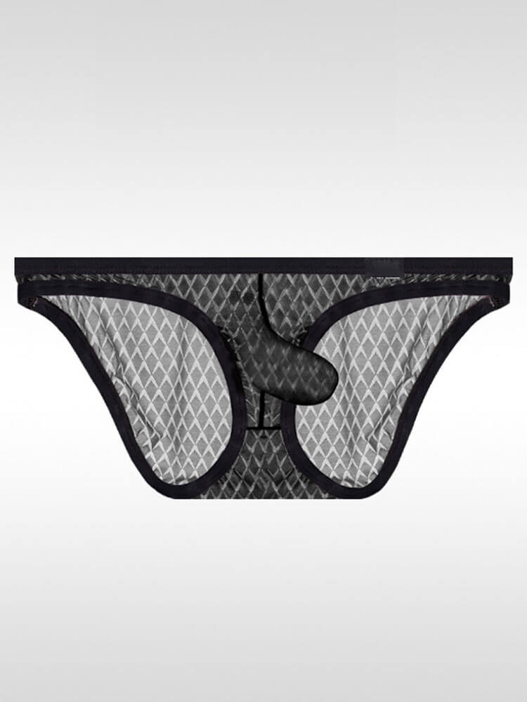 Men's Sexy Elephant Trunk Pouch Ice Silk Boxer Briefs