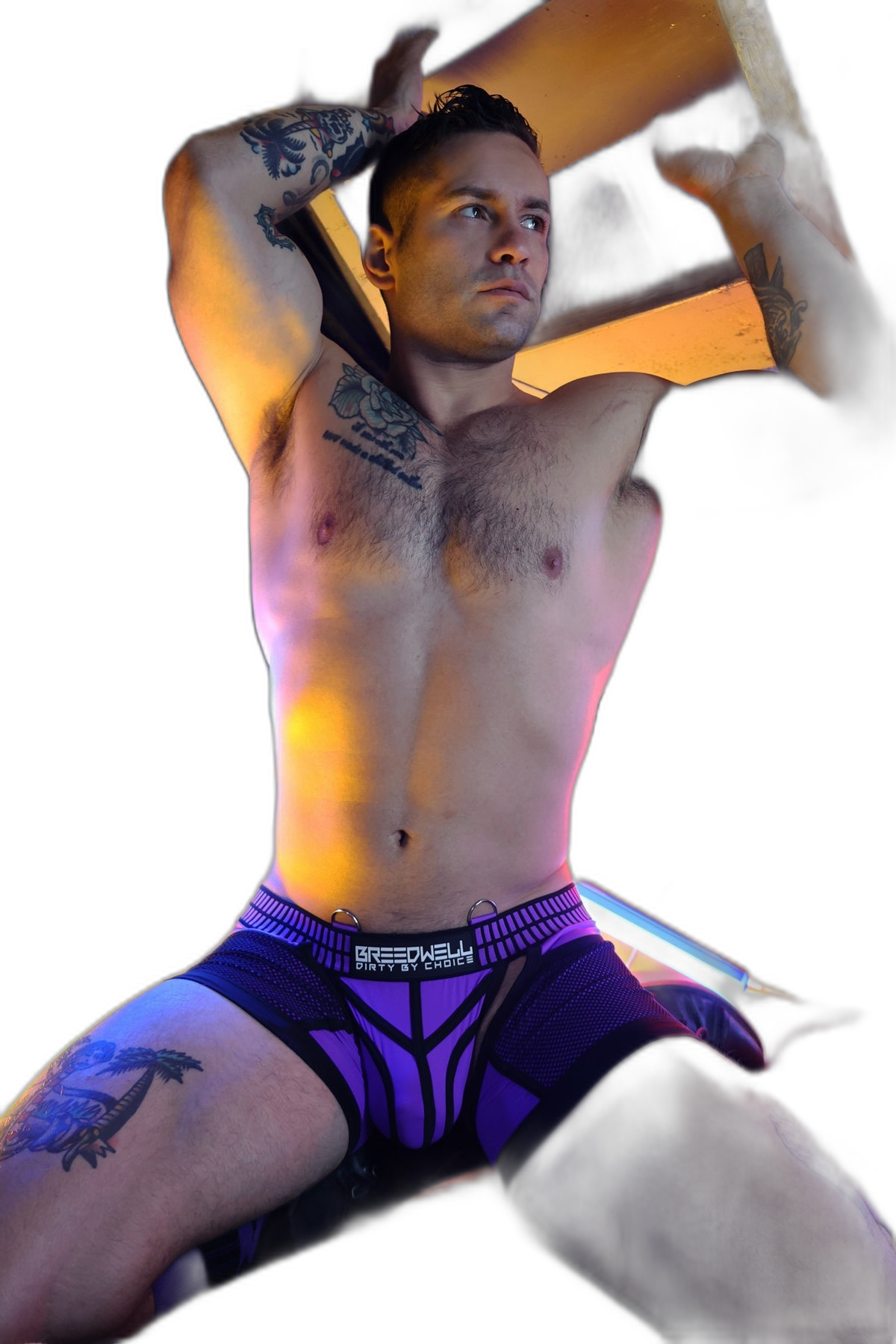 Breedwell Purpleicious Hybred Chap Jock