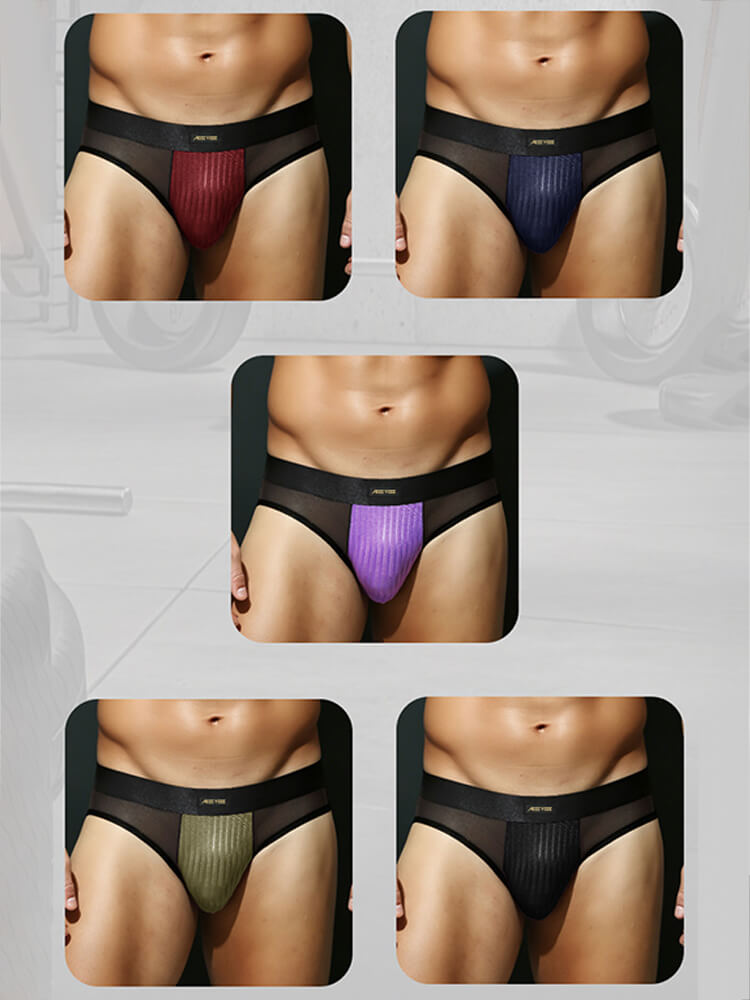 Men's Low-Rise Sexy Mesh-Paneled Breathable Briefs
