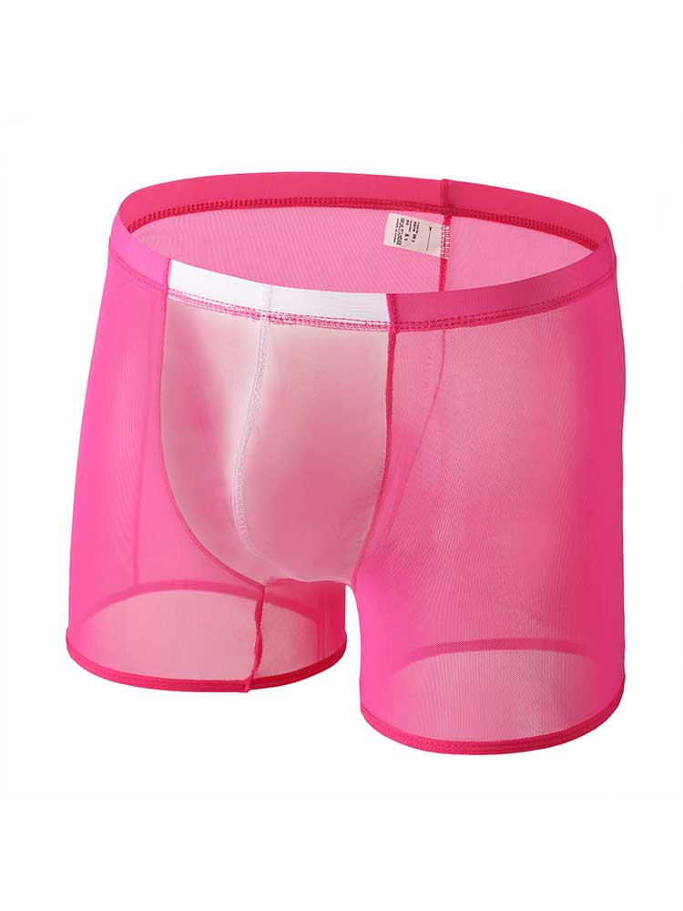 Men's Sexy Breathable Sheer Mesh Boxer Briefs