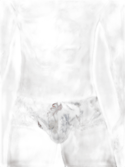 Men's Sexy Botanical Printed Mesh Underwear