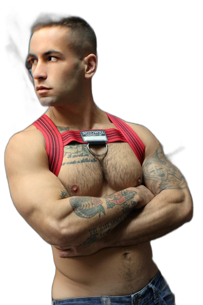 Breedwell Cumdump Bulldog Harness Red