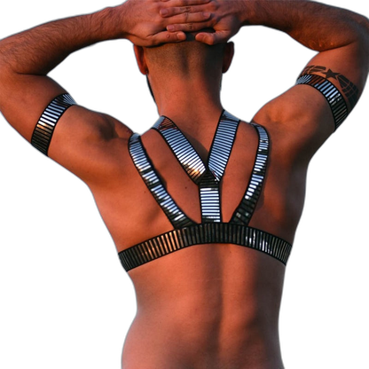 Silver Slave Daddy Harness